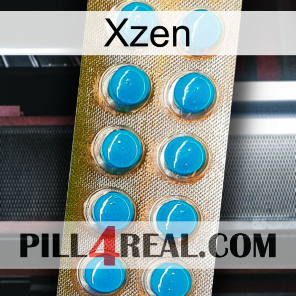 Xzen new09.jpg